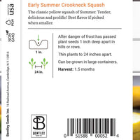 Squash, Yellow Crookneck Seed Packet (Cucurbita pepo)