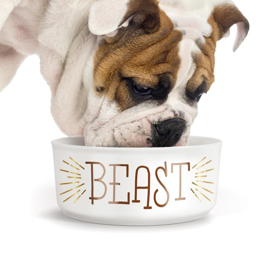 Howligans - Mug + Dog Bowl - Beauty/Beast