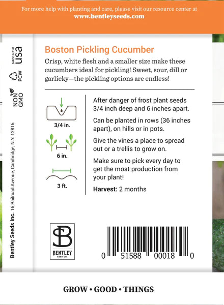 Cucumber, Boston Pickling Seed Packet (Cucumis sativus)