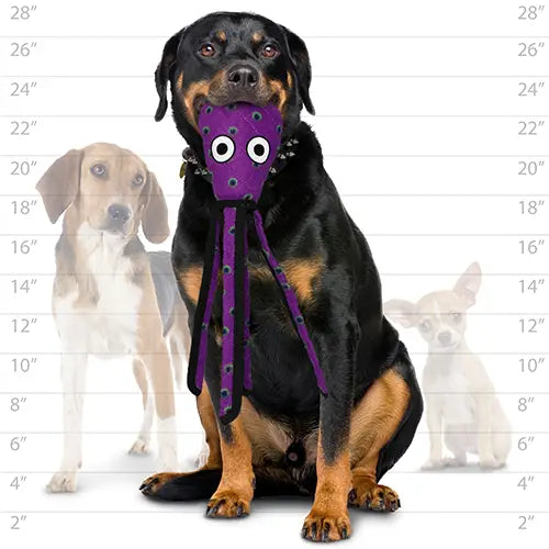 Tuffy Ocean Squid - Purple