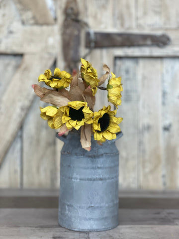 Dried Sunflower Spray