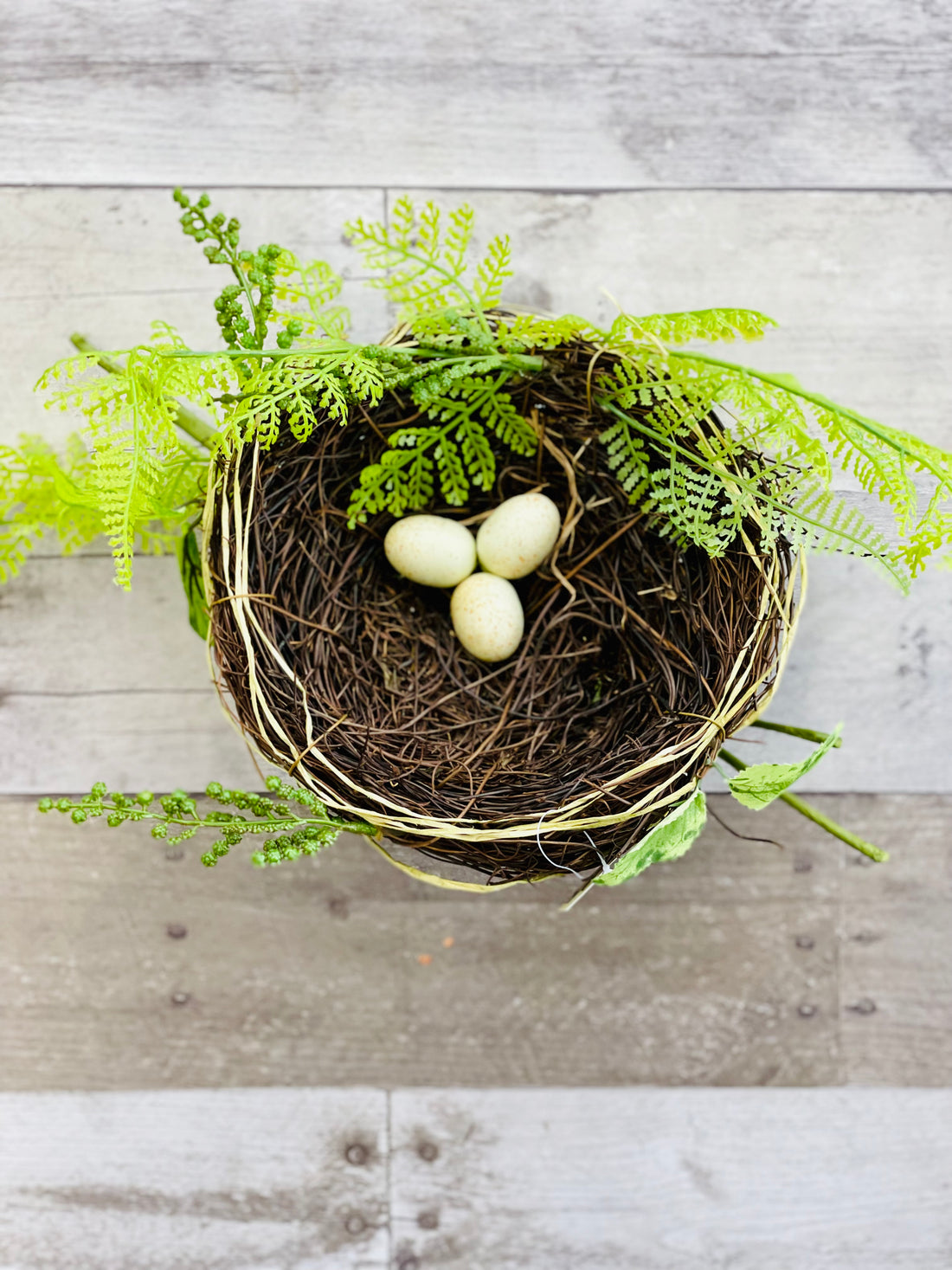 Woven Nest with Eggs