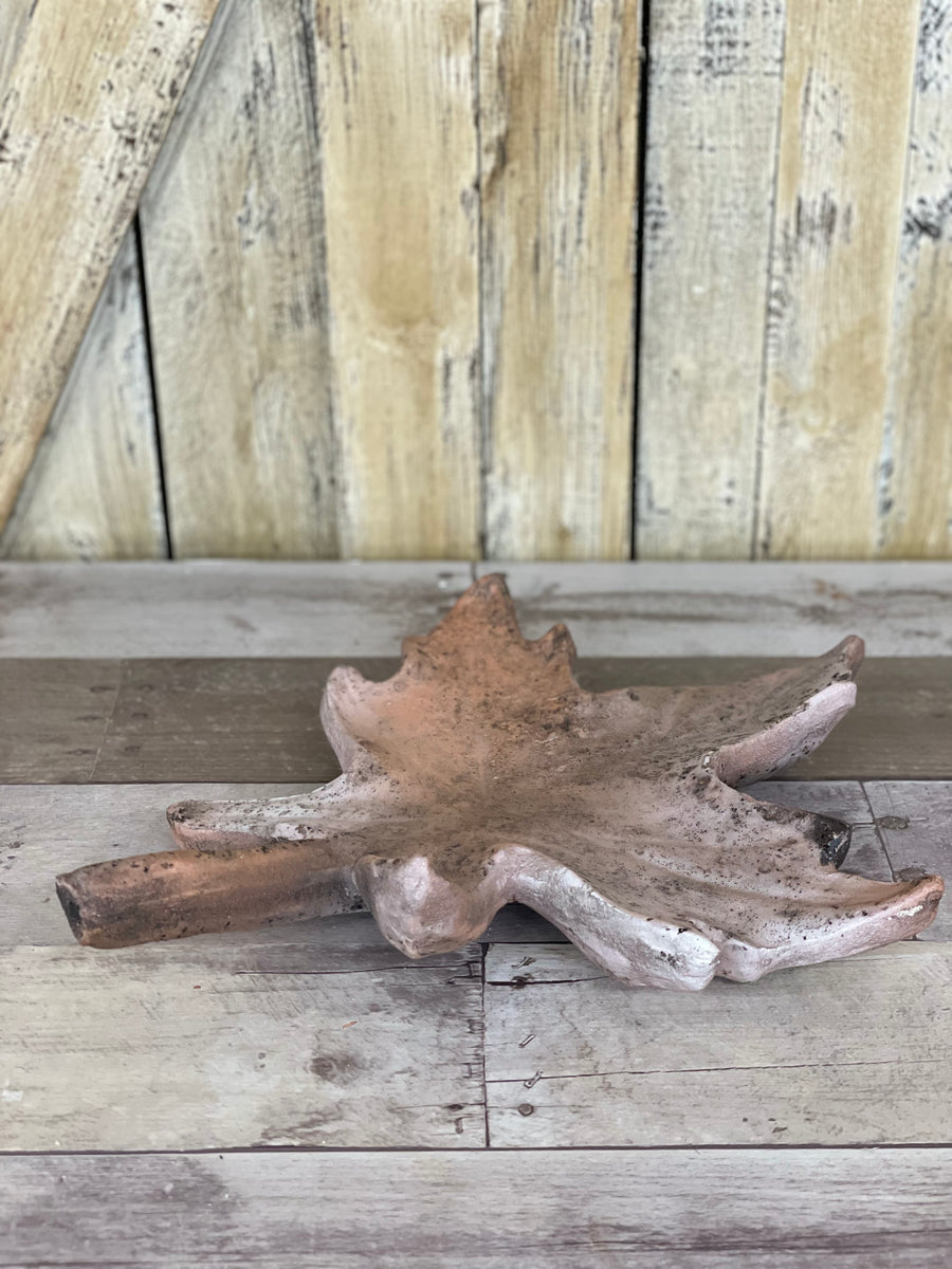 Indoor/Outdoor Distressed Leaf