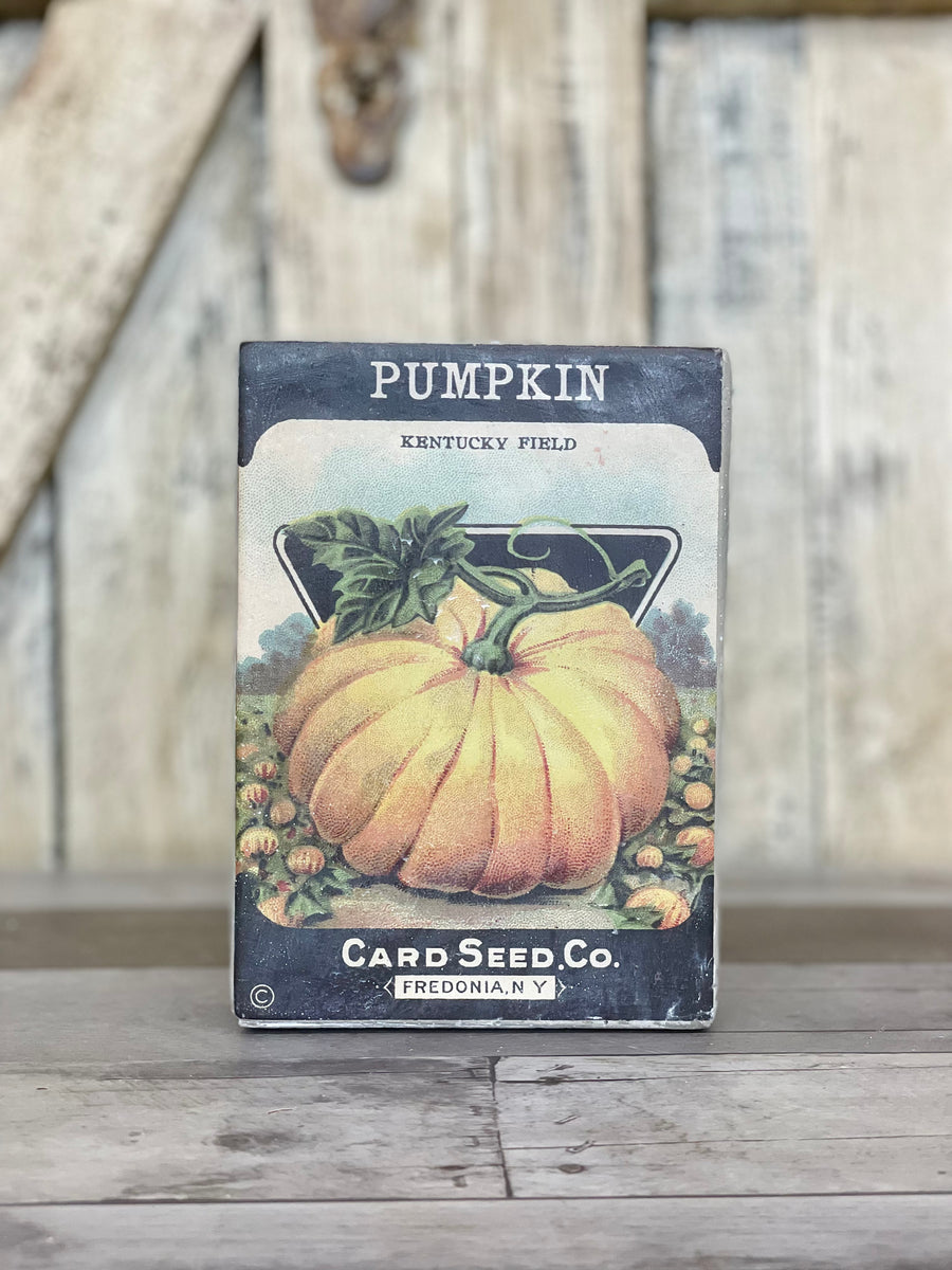 Cement Pumpkin Seed Planter