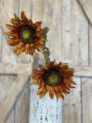 Burnt Orange Sunflower Stem