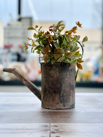 Galvanized Rusted Metal Watering Can