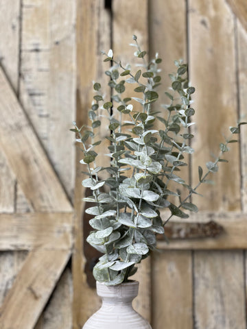 Powder Wash Eucalyptus Bundle