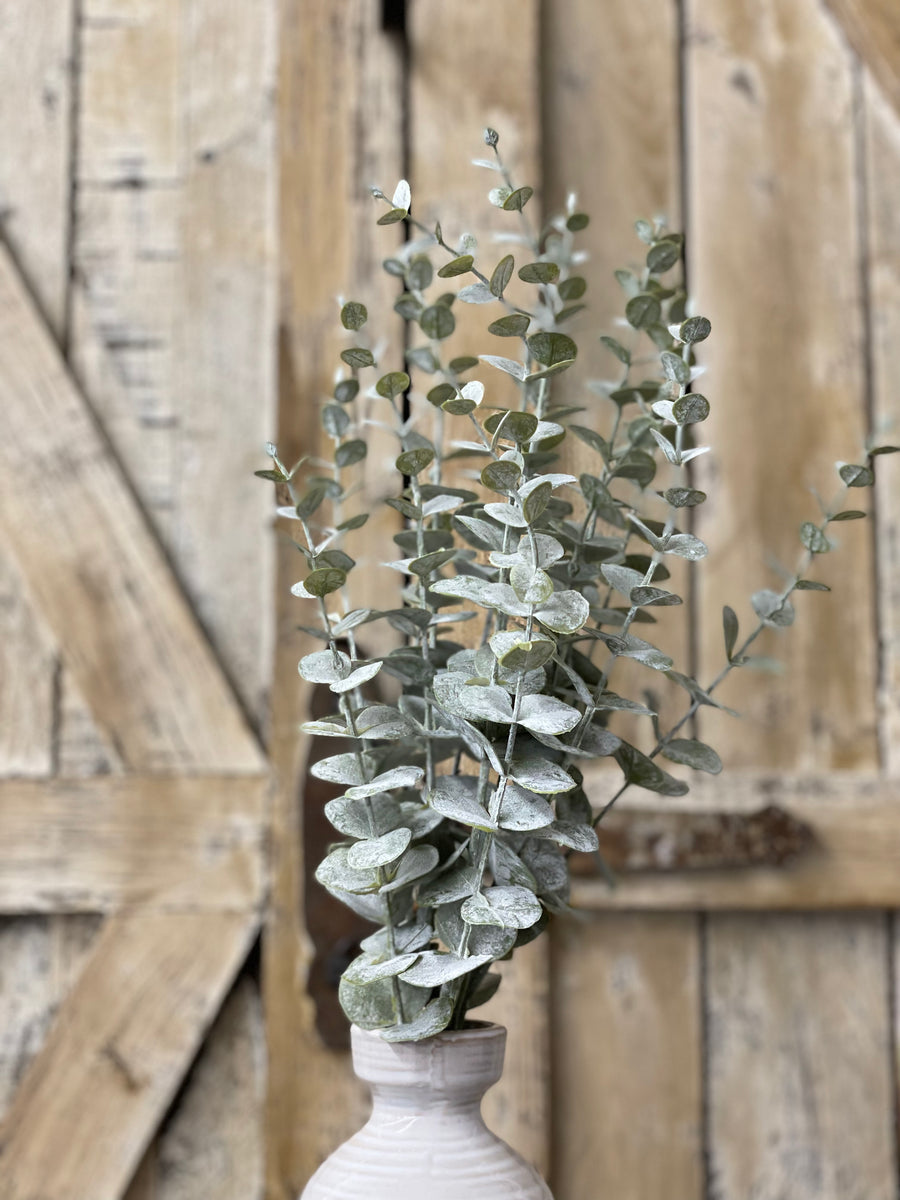 Powder Wash Eucalyptus Bundle