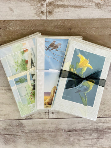Surprise Greeting Card Assortment - 6 Pack