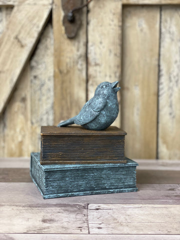 Distressed Bird on Book Stack