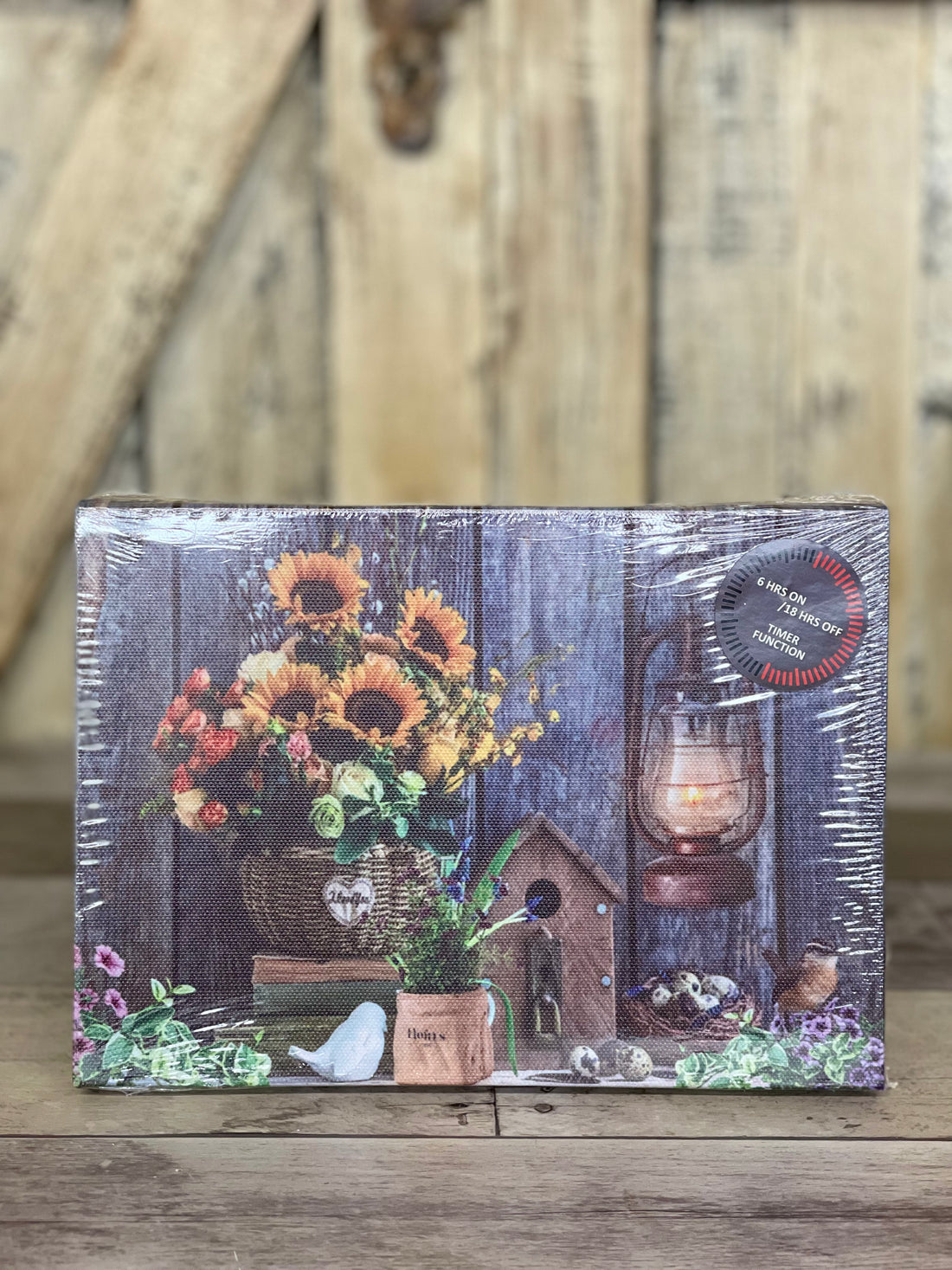 LED Light Up Picture