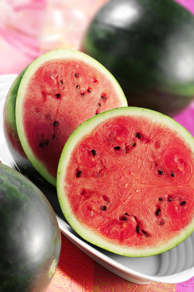 Watermelon, Sugar Baby Seed Packets (Citrullus lanatus)